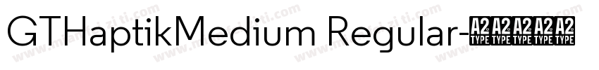 GTHaptikMedium Regular字体转换